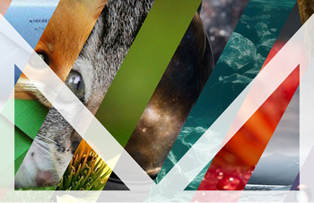 Schöne Startseiten-Bilder